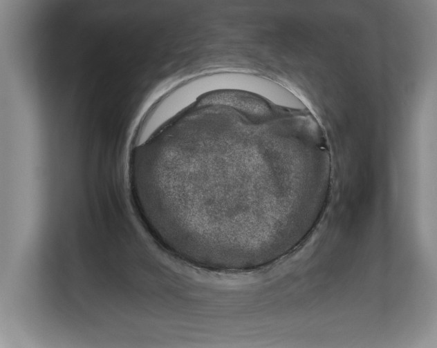 X0000112950008200909141417