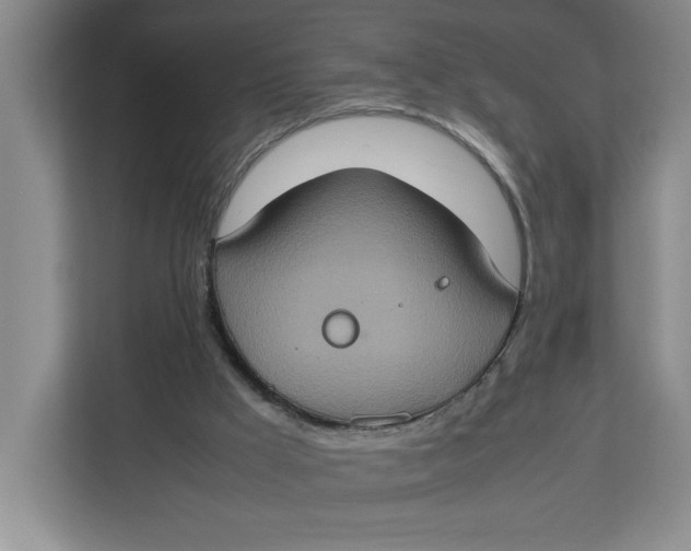 X0000112950009200909141417