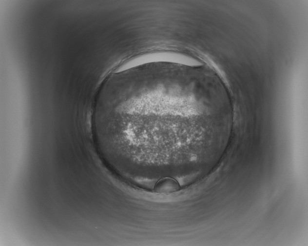 X0000112950010200909141417