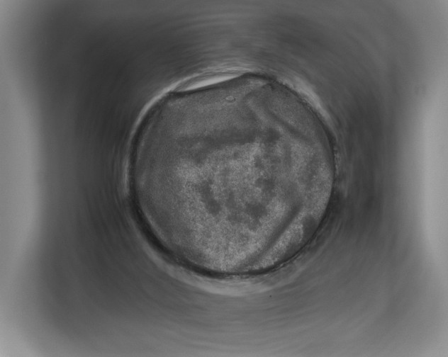 X0000112950012200909141417