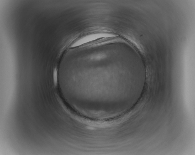 X0000112950014200909141417