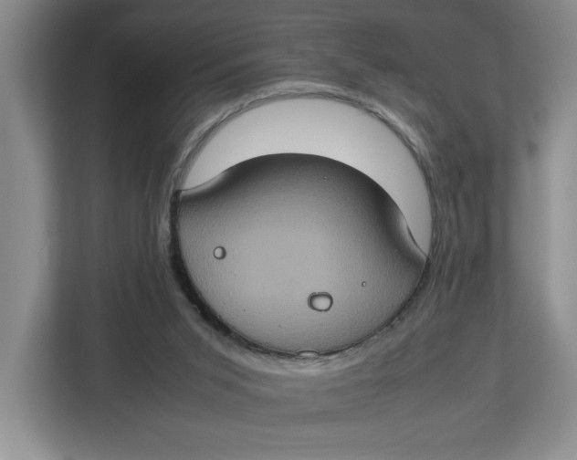 X0000112950015200909141417