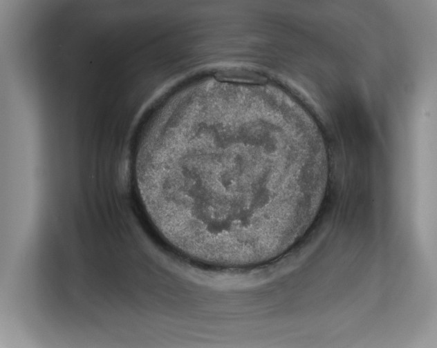 X0000112950016200909141417