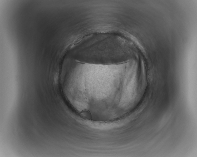 X0000112950018200909141417