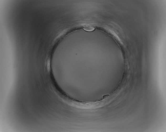 X0000112950019200909141417