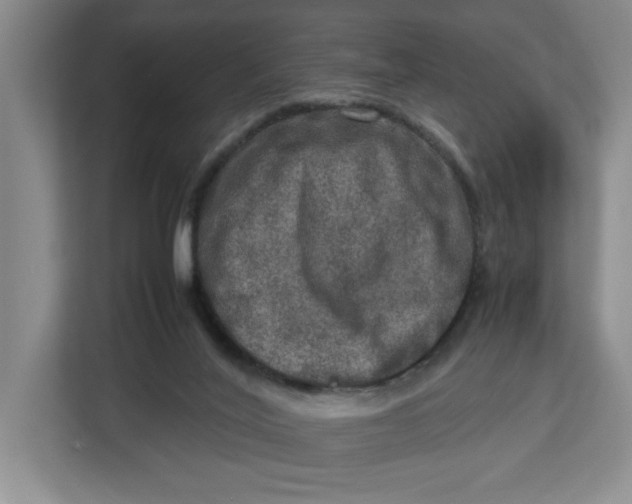 X0000112950020200909141417