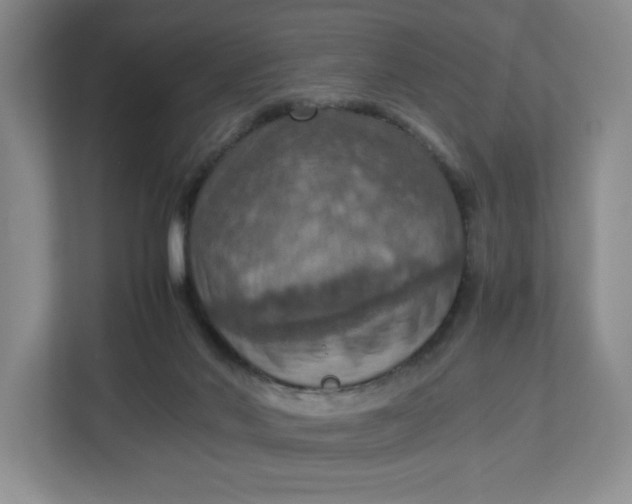 X0000112950022200909141417