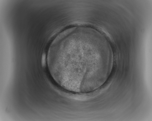 X0000112950024200909141417