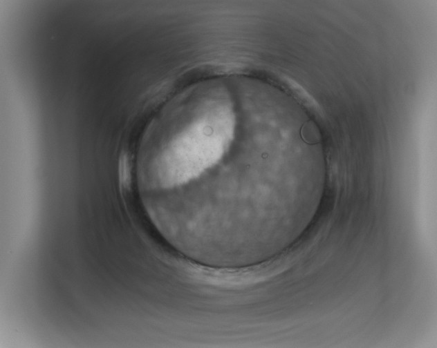 X0000112950026200909141417