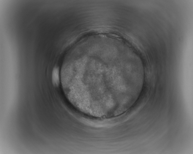 X0000112950028200909141417