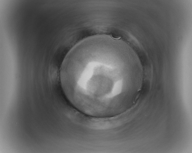 X0000112950029200909141417