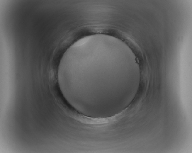 X0000112950031200909141417