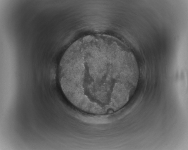 X0000112950032200909141417