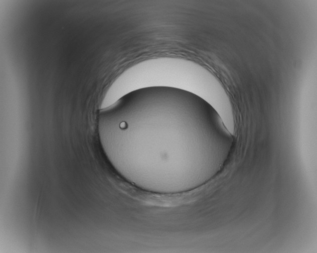 X0000112950033200909141417