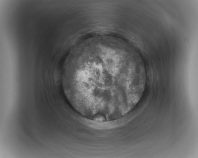 X0000112950034200909141417