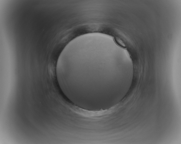 X0000112950035200909141417