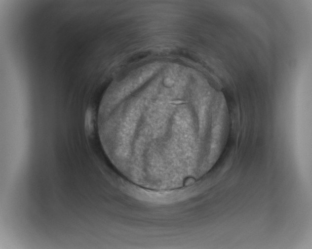 X0000112950038200909141416