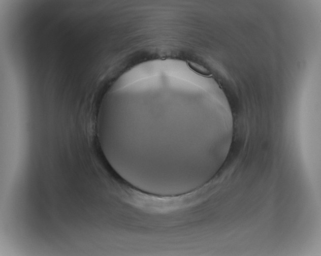 X0000112950039200909141416