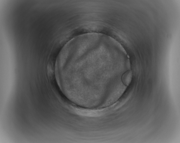 X0000112950040200909141416