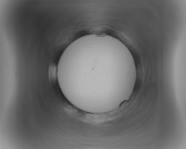 X0000112950041200909141416