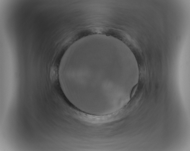 X0000112950043200909141416