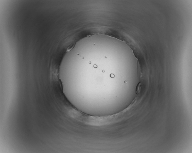 X0000112950045200909141416