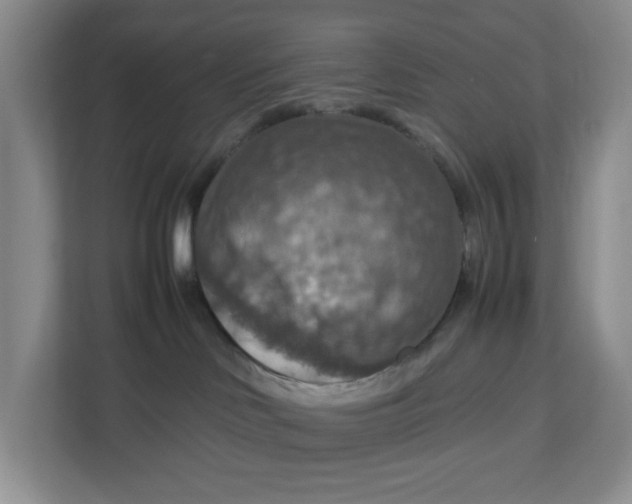 X0000112950046200909141416