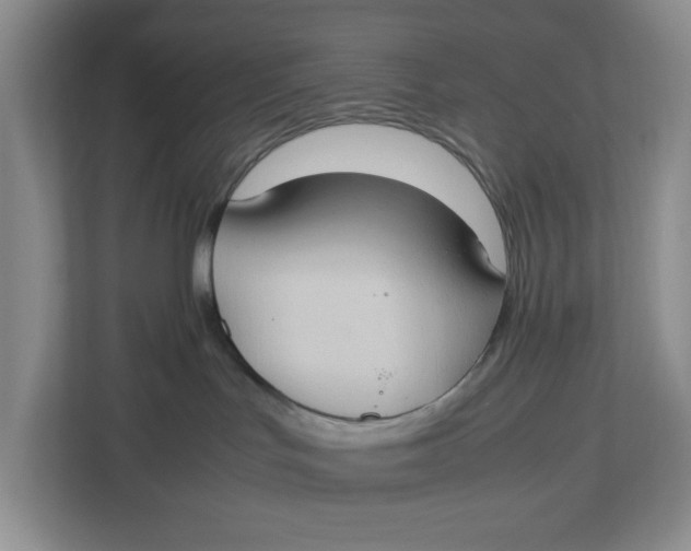 X0000112950047200909141416