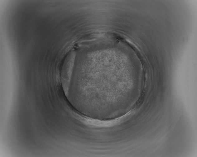 X0000112950048200909141416