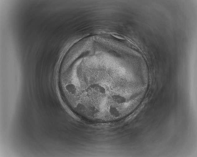 X0000112950049200909141416