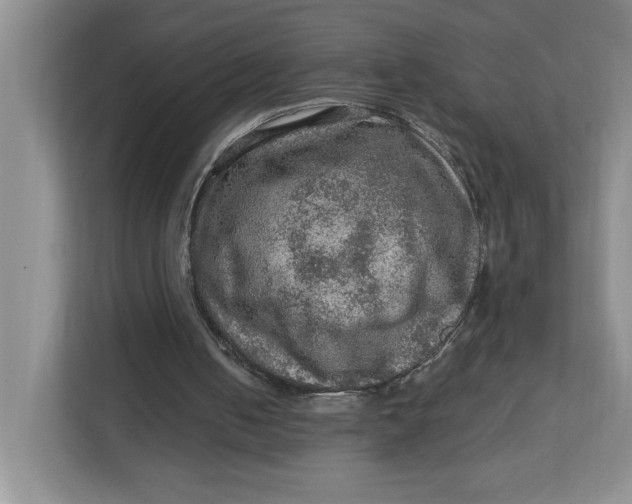 X0000112950050200909141416