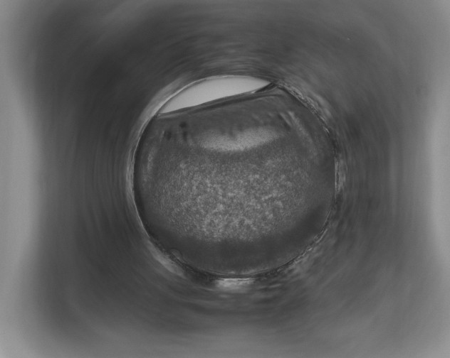 X0000112950051200909141416