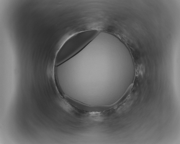 X0000112950052200909141416