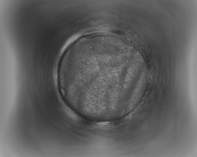 X0000112950054200909141416