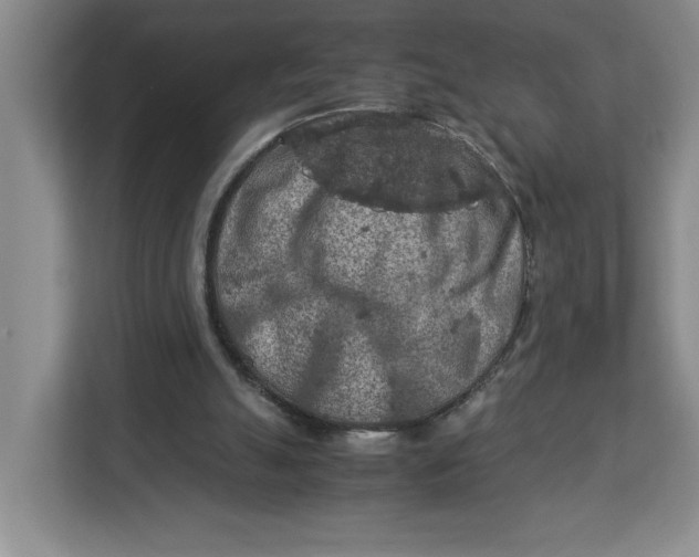 X0000112950055200909141416