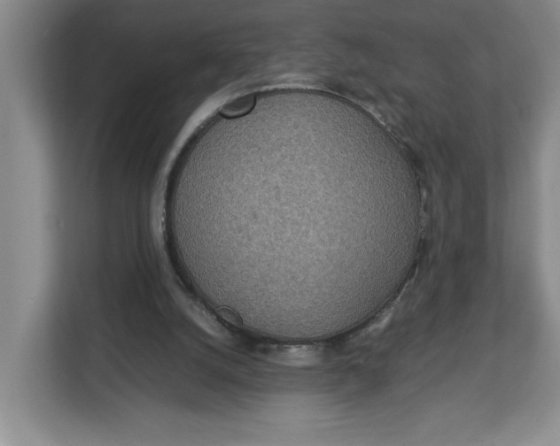 X0000112950056200909141416