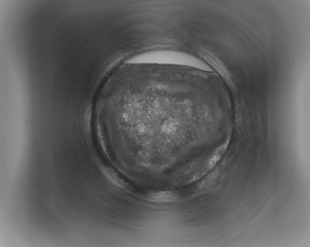 X0000112950058200909141416