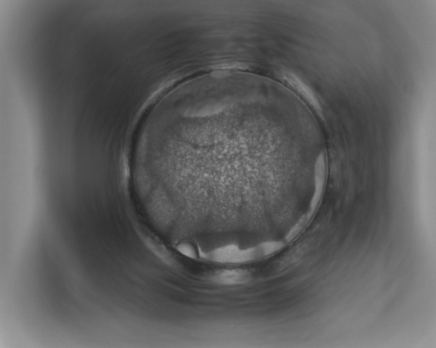 X0000112950059200909141416