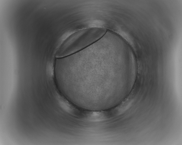 X0000112950060200909141416