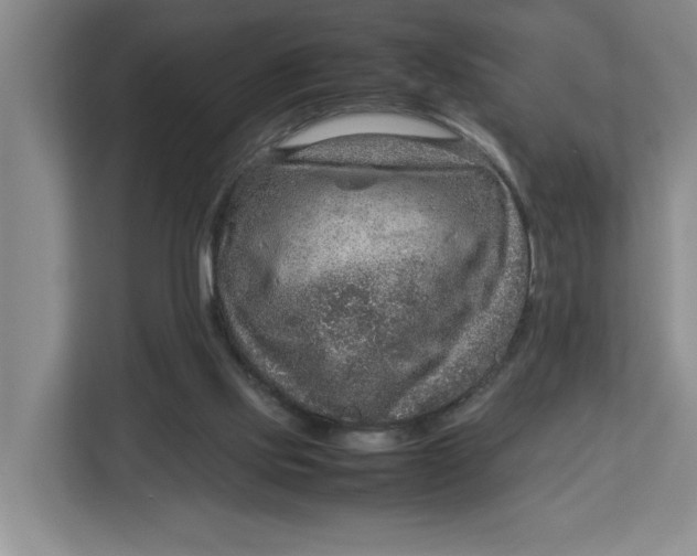 X0000112950061200909141416