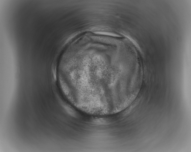 X0000112950062200909141416