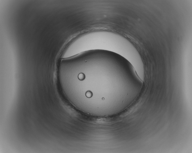 X0000112950064200909141416