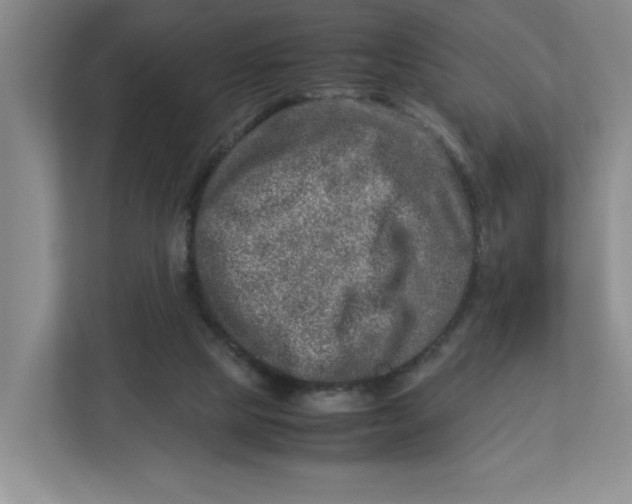 X0000112950065200909141416