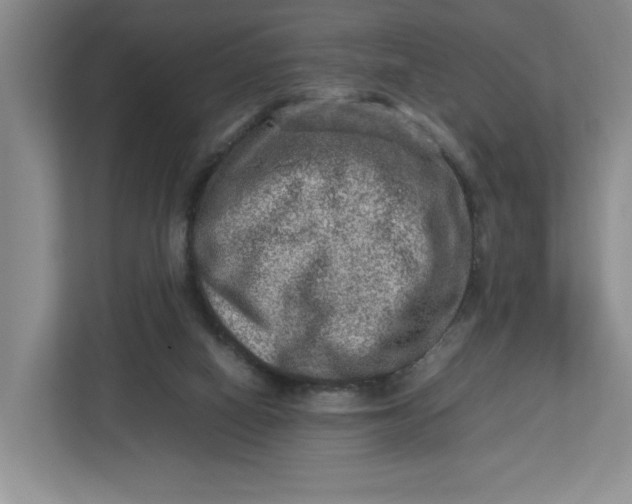 X0000112950066200909141416