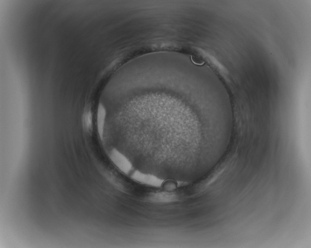 X0000112950067200909141416