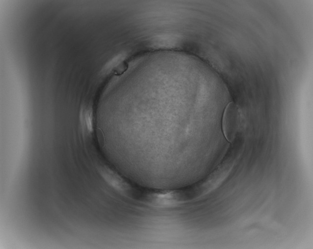 X0000112950068200909141416