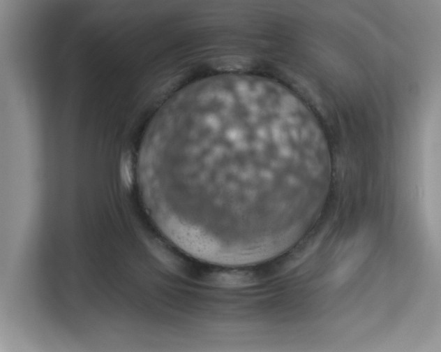 X0000112950069200909141416