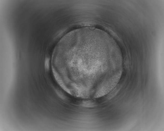 X0000112950070200909141416