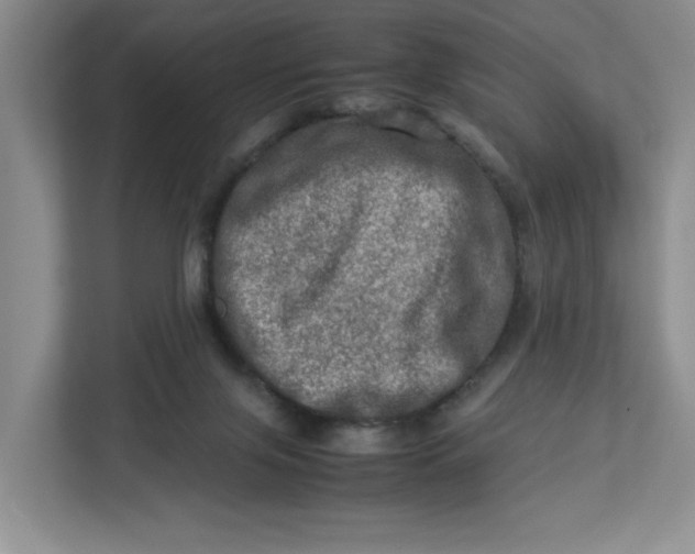 X0000112950071200909141416