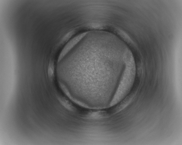 X0000112950072200909141416